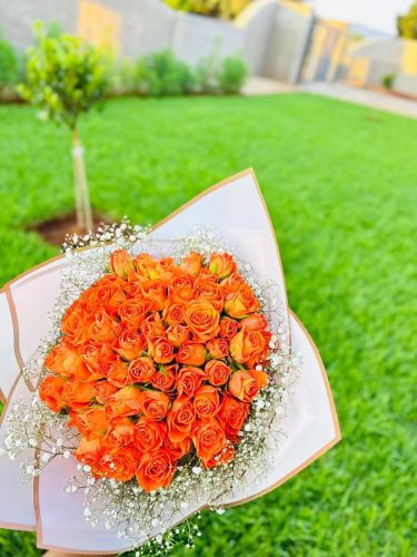 Roses  Gyp