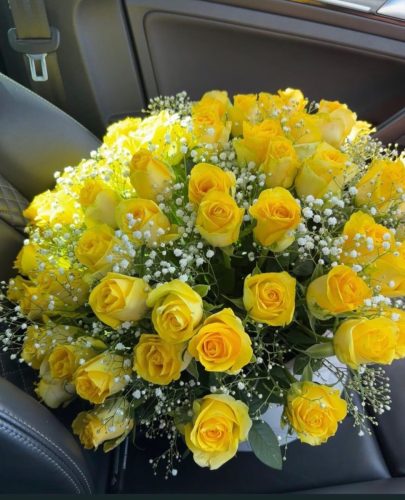 Roses  Gyp4